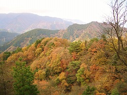 大山三峰山からの丹沢の紅葉